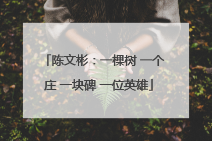 陈文彬：一棵树 一个庄 一块碑 一位英雄
